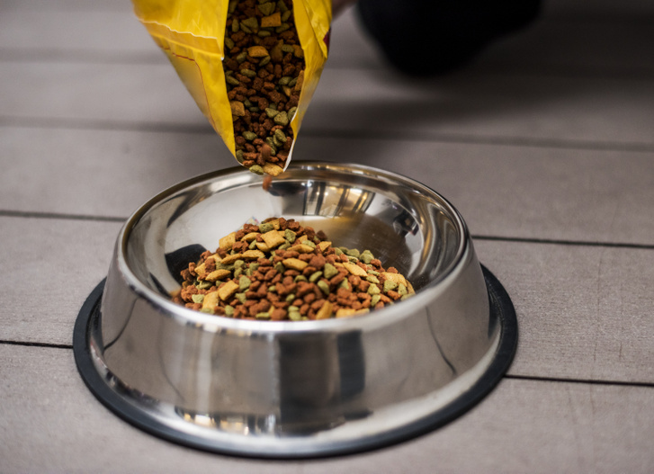 pouring-pet-food-into-bowl