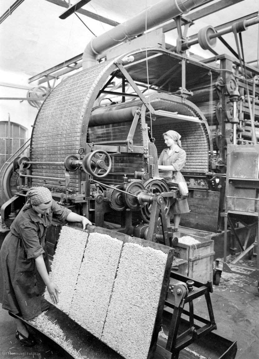 Budapest, 1960. július 5. Munkásnők dolgoznak gyufamártó gép mellett a Gyufaipari Vállalat budafoki telepén.