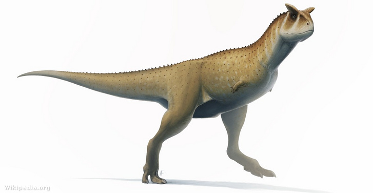 Carnotaurus sastrei puede parecerse a una especie descubierta ahora