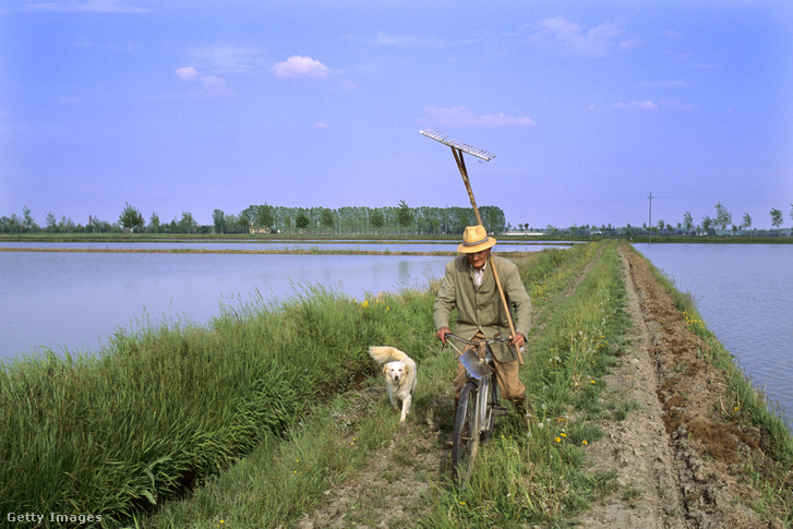 A rizskapálás is jobban megy – Lombardia, 2015