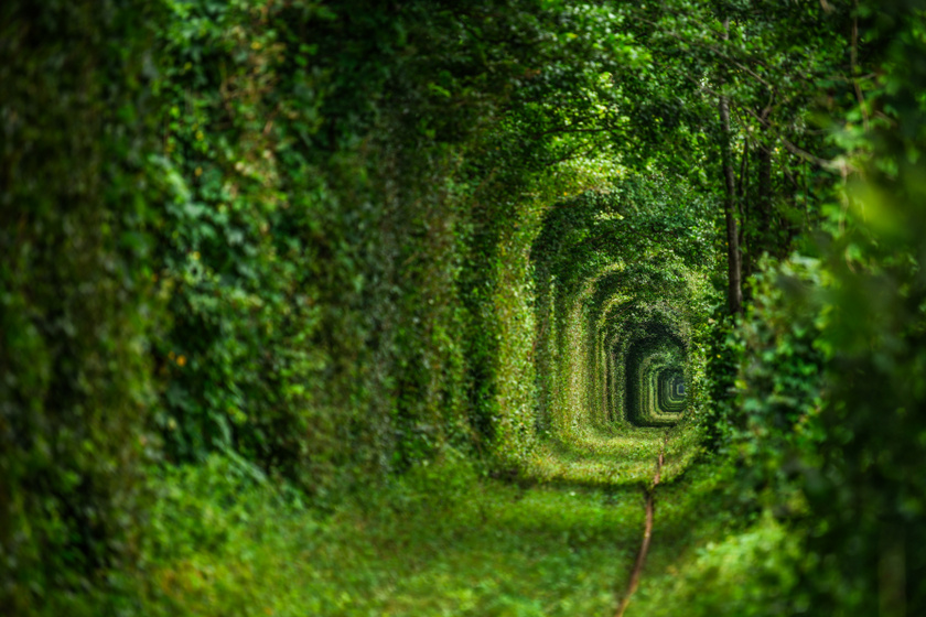 A "szerelem alagútja"-ként is ismert vasúti szakasz Ukrajna egyik legnépszerűbb látványossága, hiszen főként nyáron és ősszel nyújt csodálatos látványt a növényekkel teljesen körbevett sínpár. A nagyjából 5 kilométeres szakasz Klevany városától Orzhivig tart.