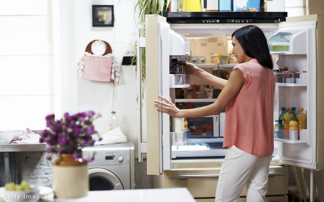 A nem megfelelően tisztított hűtő számos bosszúságot tud okozni