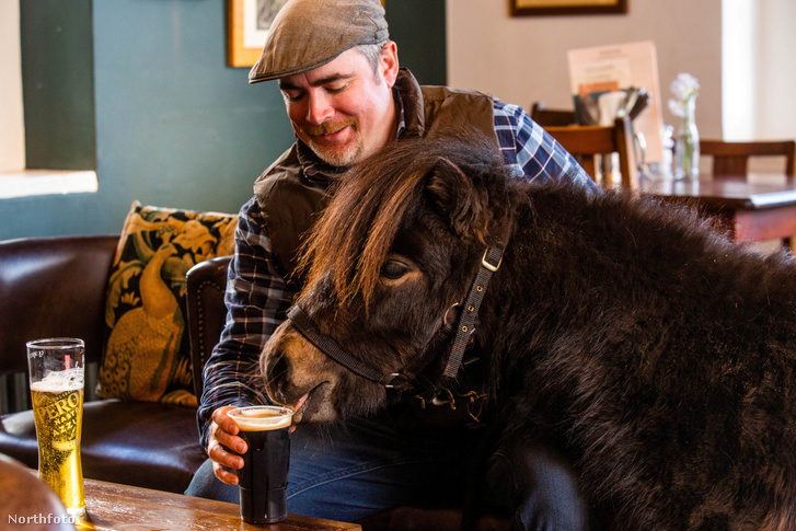 swns pony pub 19