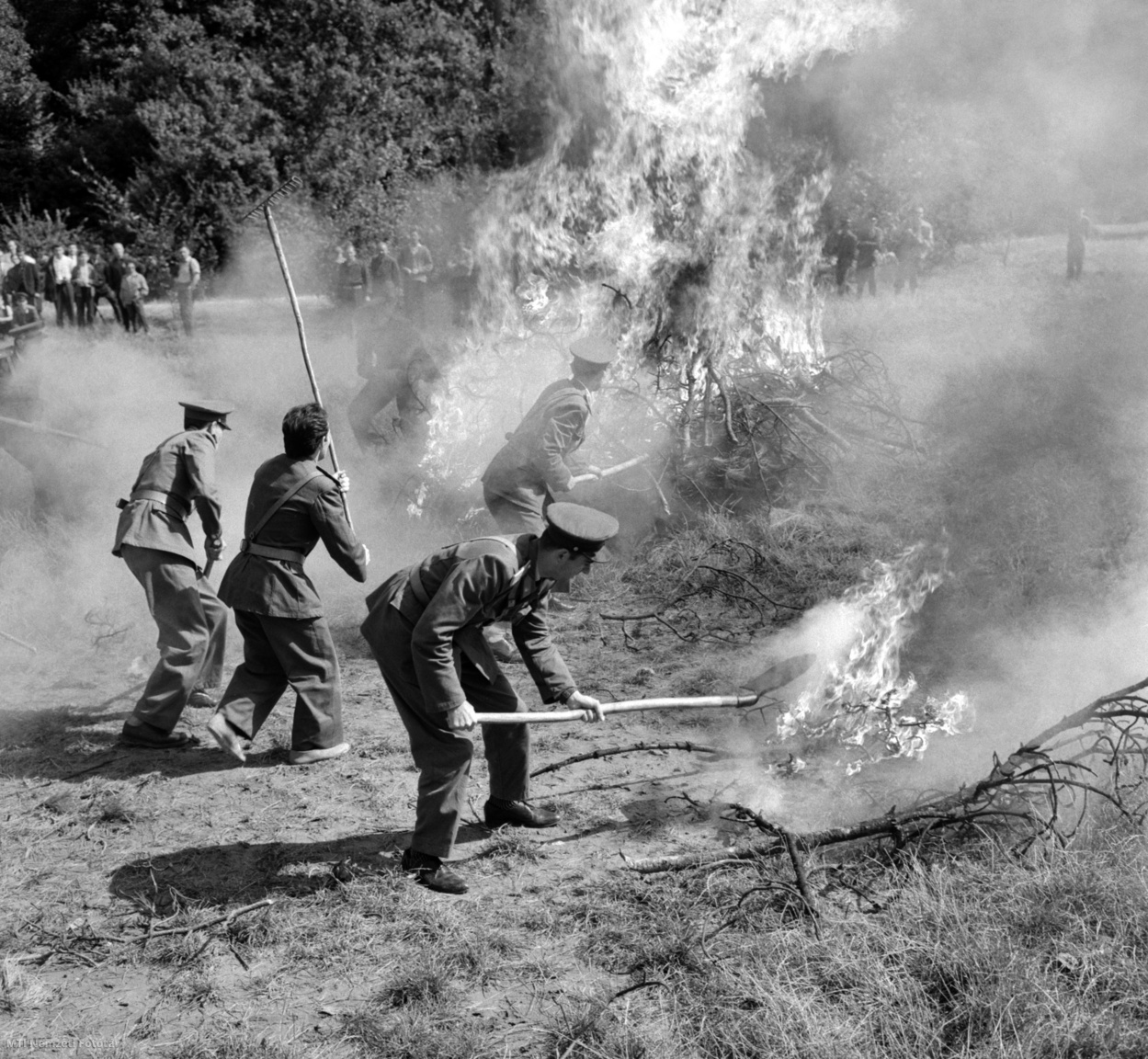Budapest, 1965. szeptember 12. Gázolajjal leöntött fenyőfamáglyák tüzét kell a legrövidebb időn belül eloltaniuk az Erdőgazdaságok és az Országos Erdészeti Főigazgatóság felügyelete alá tartozó ipari vállalatok önkéntes tűzoltócsapatainak IV. országos versenyén, a Hűvösvölgyi nagyréten. A megmérettetésen 29 tűzoltócsapat, köztük négy női osztag állt rajthoz. A tűzoltási bemutatókon kívül egyéni ügyességi és akadályversenyeken is részt vettek az önkéntes tűzoltócsapatok.