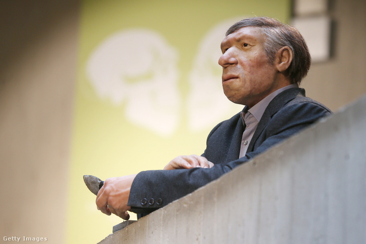 A Mettmann múzeum 25. születésnapja tiszteletére szürke öltönybe öltöztetett Neander-völgyi rekonstrukció, kőkéssel a kezében, 2021 szeptemberében