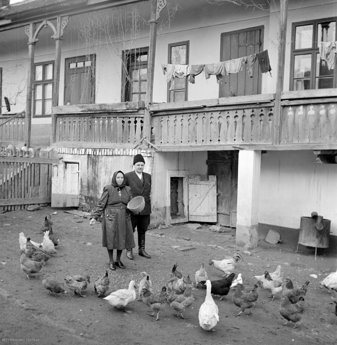 Békásmegyer, 1951. január Veres Péter Kossuth-díjas író, politikus a baromfik etetését figyeli békásmegyeri házának udvarán. A felvétel készítésének pontos napja ismeretlen.