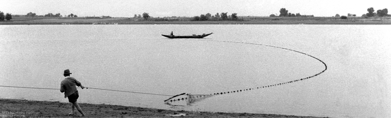 Bogyiszló, 1960. szeptember 19. Bevonják a hálót a Béke Halászati Termelőszövetkezet halászai a holt Duna-ágban. A tsz öt és félezer holdas vízterületén ebben az évben 800 mázsás haltermésre számítanak a halászok.