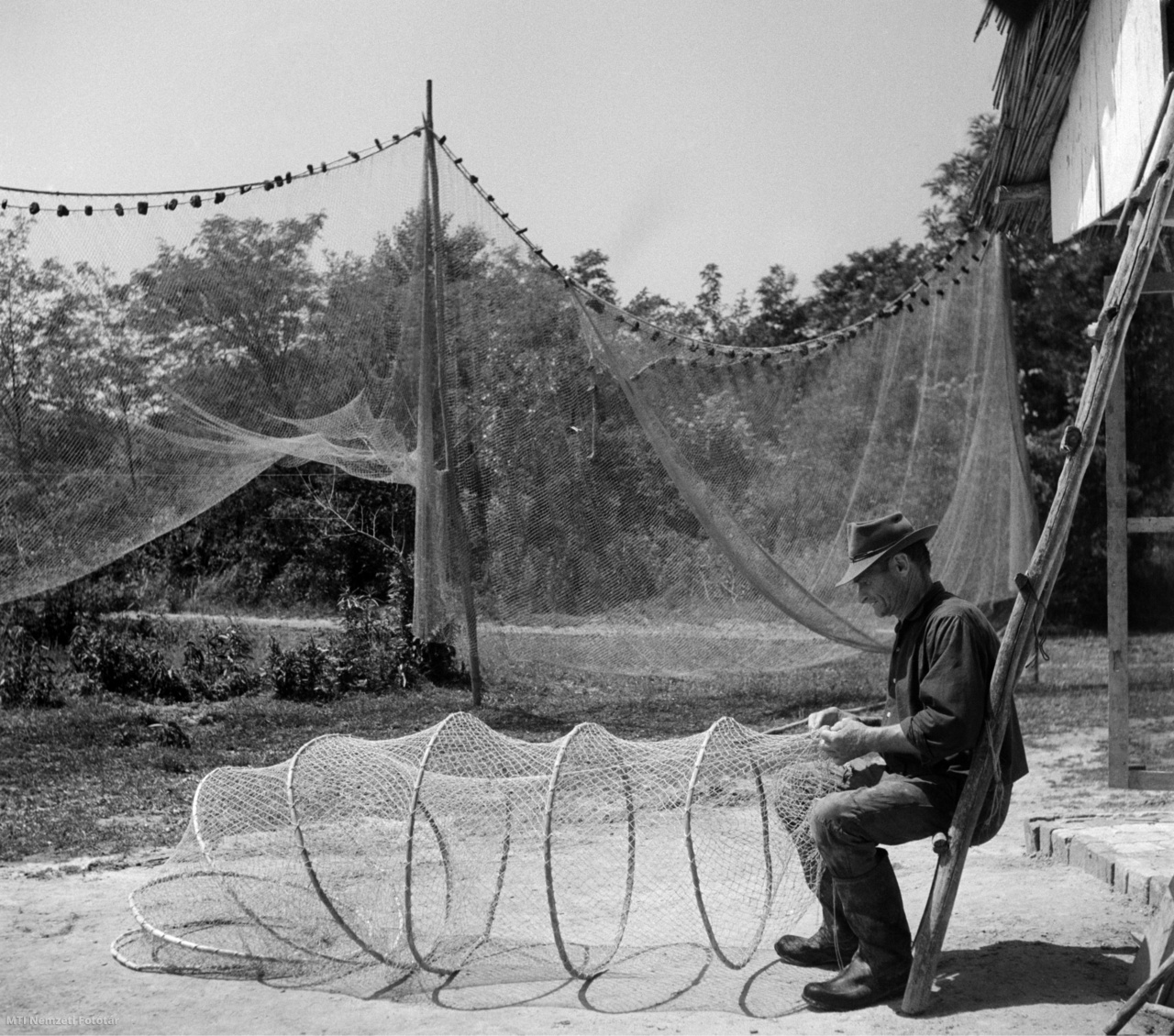 Baja, 1962. június 21. A szák hálóját javítja egy halász a Duna-parton.