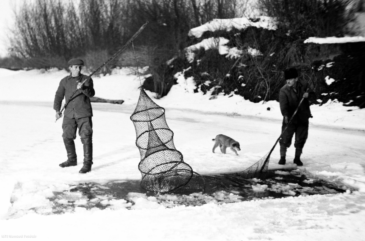 Érsekcsanád, 1954. január 20. Az érsekcsanádi halászok télen a befagyott Dunán léket vágva varsával halásznak. A képen: Jakus Ferenc és Kenyeres Mihály halászok leengedik a varsát.