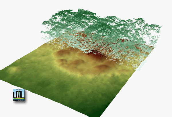 A hondurasi esőerdő 3D-s térképén a növényzet alatt látszódnak a város romjai