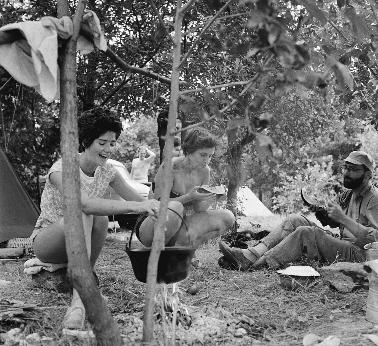 Hortobágy, 1964. augusztus 22. Solymásztábor a Hortobágyon.