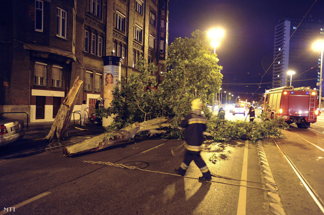 Tűzoltók dolgoznak a Haller utcában 2013. május 19-én este, ahol a zivatar során a viharos szél kidöntött egy fát.