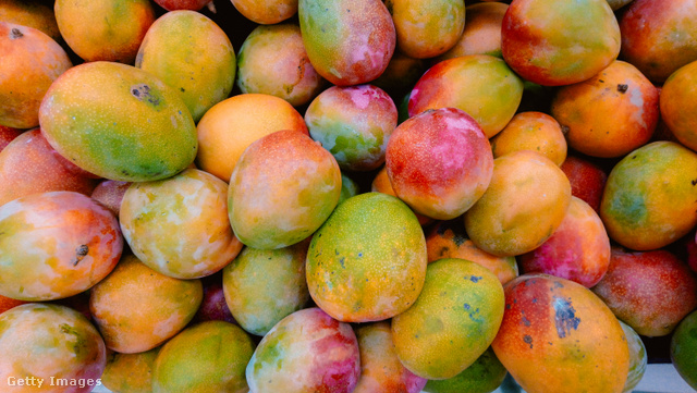 A mangó az egyik legtáplálóbb egzotikus gyümölcs
