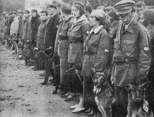 A Vörös Hadsereg egyik kutyaiskolája 1931-ben: a szovjet tankelhárító kutyákat is ilyen helyeken képezhették ki