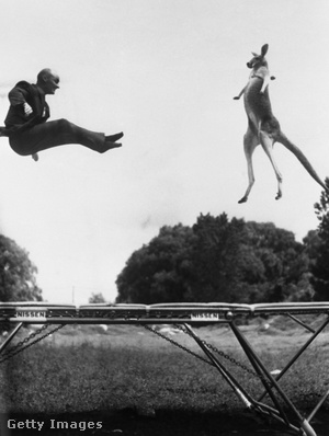 George Nissen és Victoria, a kenguru