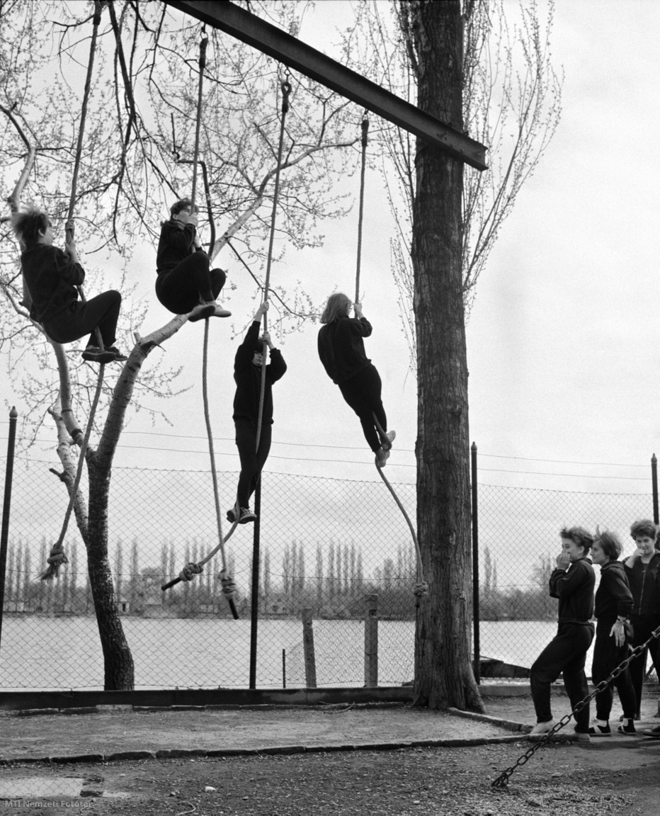 Ráckeve, 1965. április 22. Testnevelésóra a Ráckevei Ady Endre Gimnáziumban, ahol ebben az évben 82 fiatal tanul negyedik osztályban, és készül az érettségi vizsgákra. A IV/a és IV/b osztályban 3,9 és négyszázalékos az átlagos tanulmányi eredmény. A fiatalok 35 százaléka továbbtanul, közülük öt fiú a Magyar Néphadsereg tiszti iskolájára, többen pedig pedagógiai főiskolákra jelentkeztek. Sokan választanak munkát az ipar és a mezőgazdaság területén is