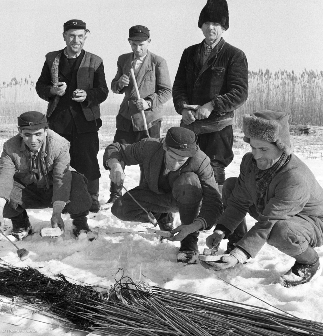 Besnyő, 1960. január 19. Az ebédszünetben szalonnát sütnek a rögtönzött tűznél a tó jegén a munkások. A besnyői Sallai Termelőszövetkezet dolgozói vágják a nádat a befagyott Velencei-tavon.