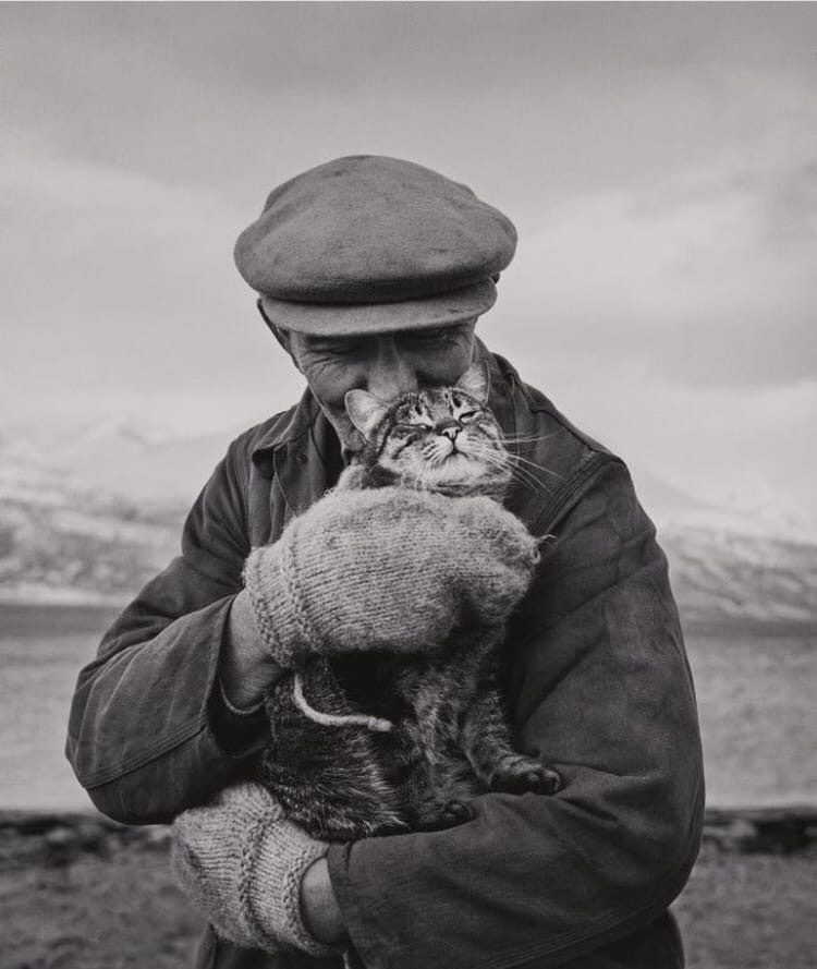 Egy férfi a macskájával. Norvégia, 1967.