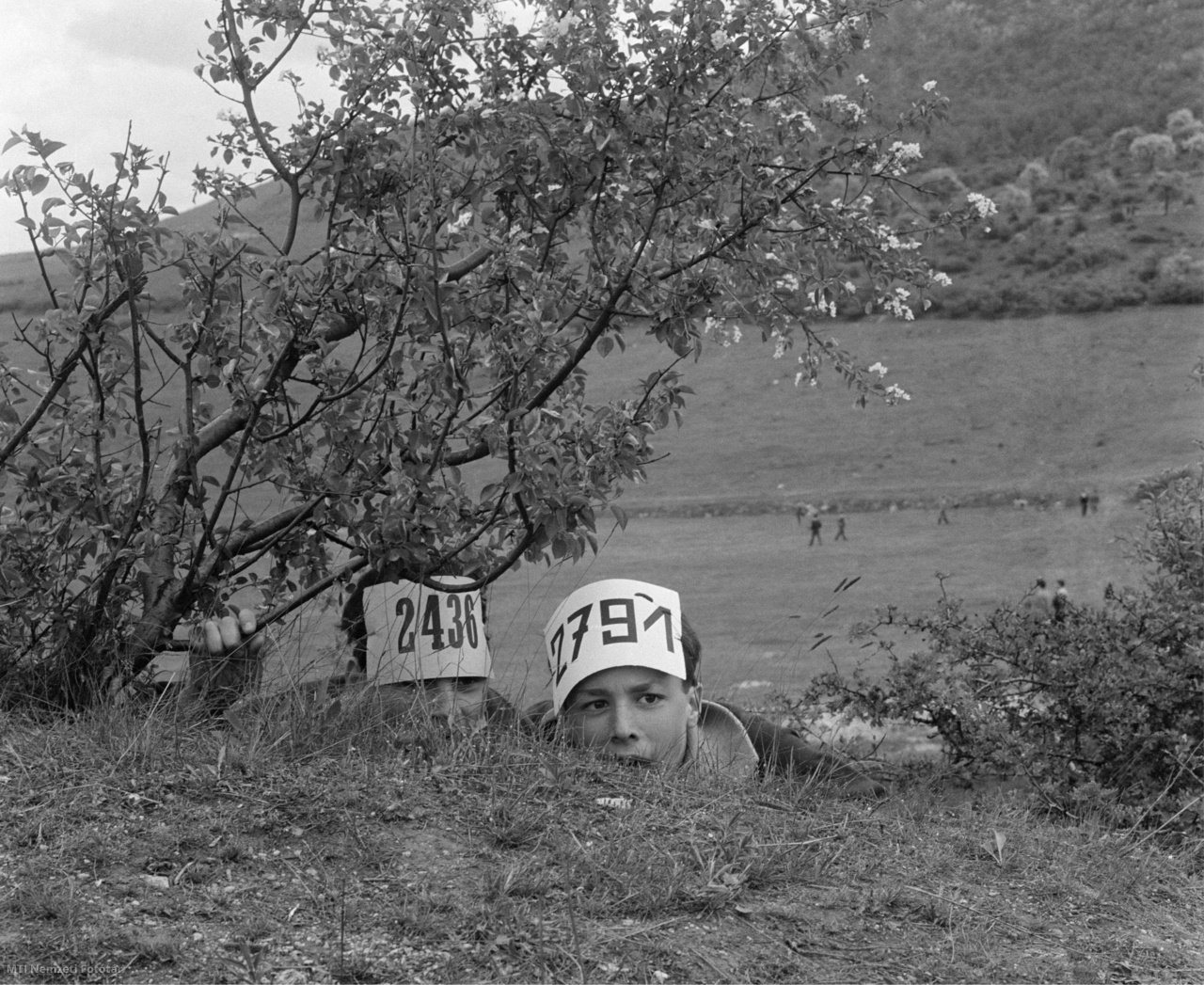 Budapest, 1962. április 30. A 2544. számú Rózsa Richárd úttörőcsapat két tagja a bokrok között elbújva az ellenséget fürkészi a Budai-hegységben megrendezett tavaszi kerületi számháború főpróbáján.