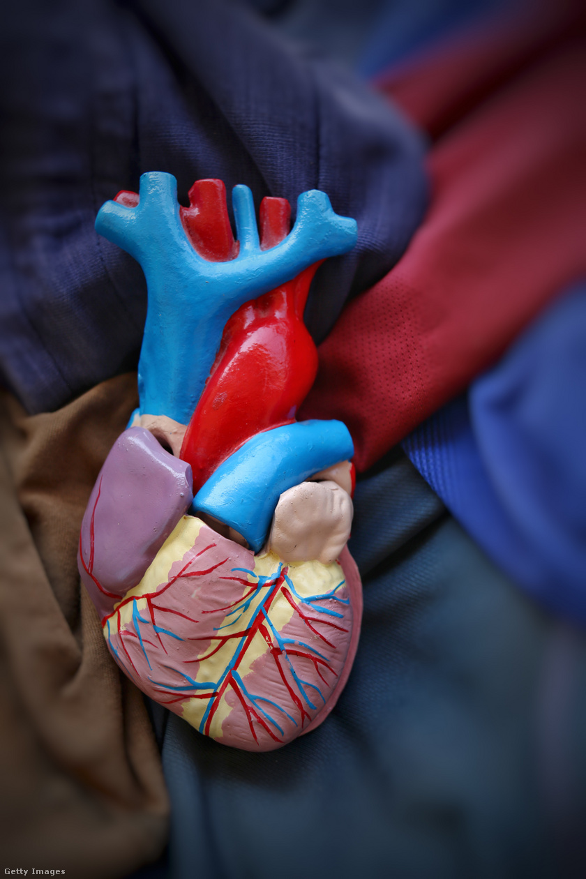 a szívkoszorúér-betegség egészségügyi kockázatai