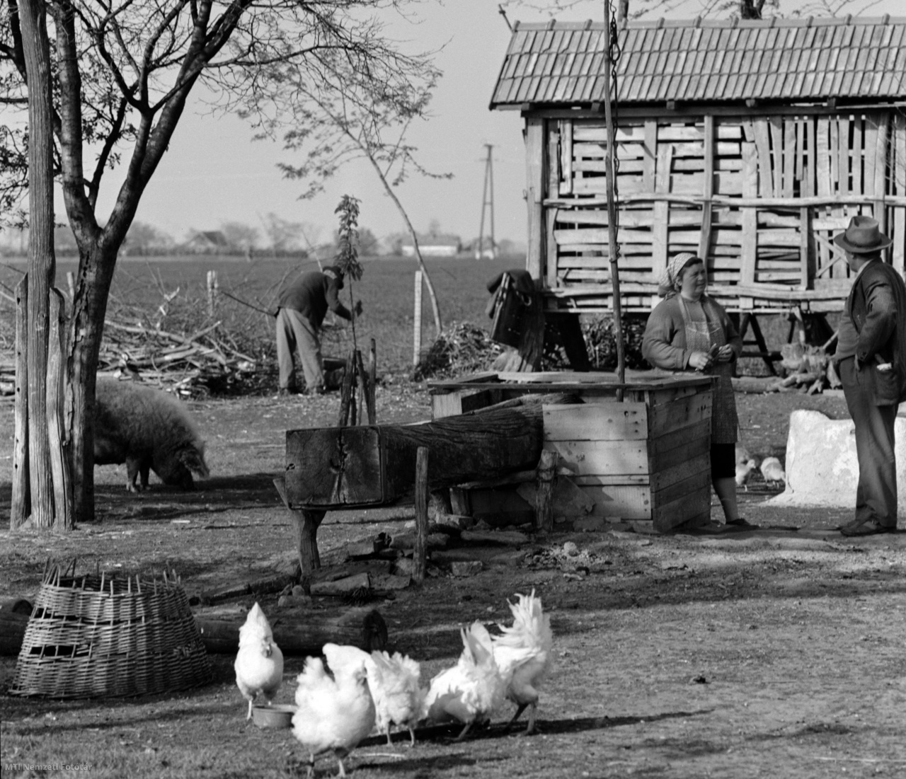 Jászboldogháza, 1964. május 10. Baranyi Mihály, a jászboldogházi termelőszövetkezet állattenyésztési brigádvezetője (j) beszélget feleségével házuk udvarán