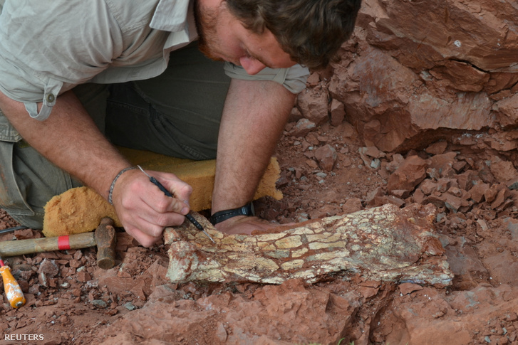 Egy paleontológus egy újonnan felfedezett pteroszauruszfajhoz, a Thanatosdrakon amaruhoz tartozó csontok és kövületek feltárásán dolgozik Aguada del Padrillóban, Mendoza államban, Argentínában 2012. augusztus 9-én