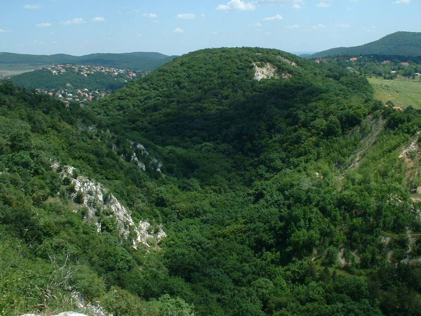 A Remeteszőlős és Máriaremete területén futó Remete-szurdok a Budai-hegység gyöngyszeme. A szurdok oldalában fontos feltárásokról ismert barlangok, üregek sorakoznak, a helyet a jégkorszaki maradványnövények teszik még értékesebbé. A Kéktúra vonala is áthalad rajta.