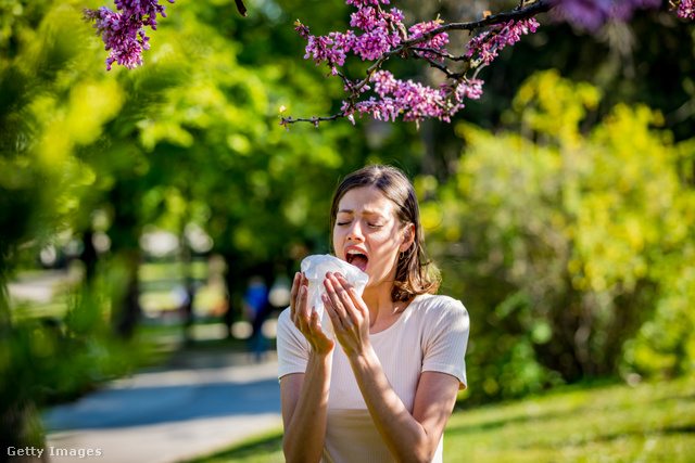A szabadban a ruháidra kerülő allergének otthon is allergiás tüneteket okozhatnak