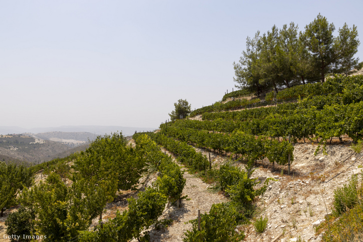 Pincészet és szőlőültetvények a hegyvidéki Larnaka és Nicosia borútnál, Lefkara falu közelében 2020. július 14-én Cipruson