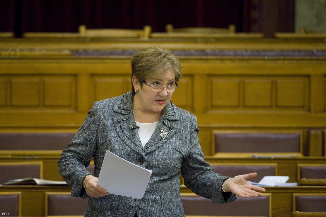 Lamperth Mónika a parlament plenáris ülésén 2013. május 14-én