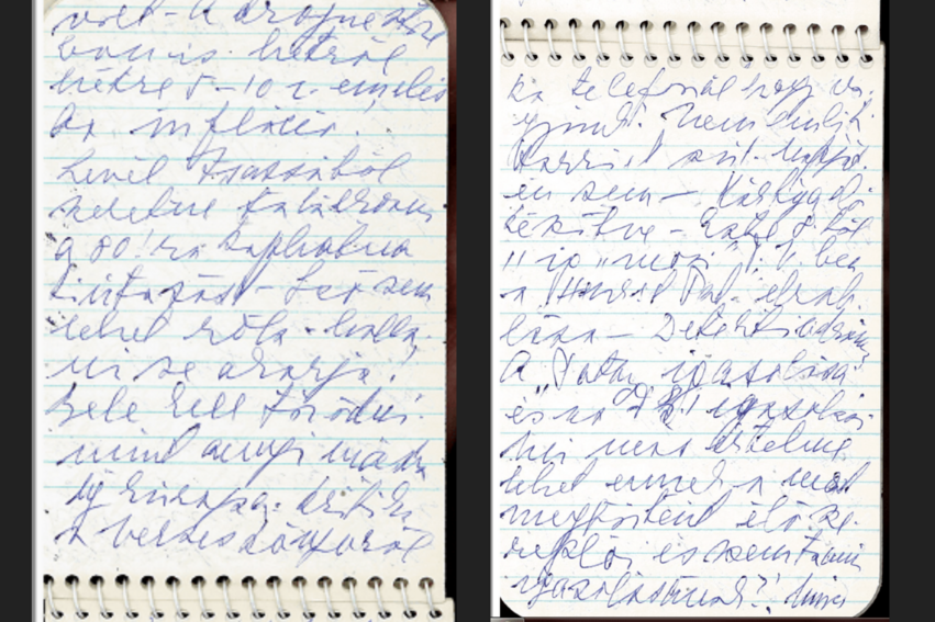Lola önmagának írt hétköznapi naplóbejegyzései kiegészítik Márai tudatosan, az olvasói számára írt naplóit