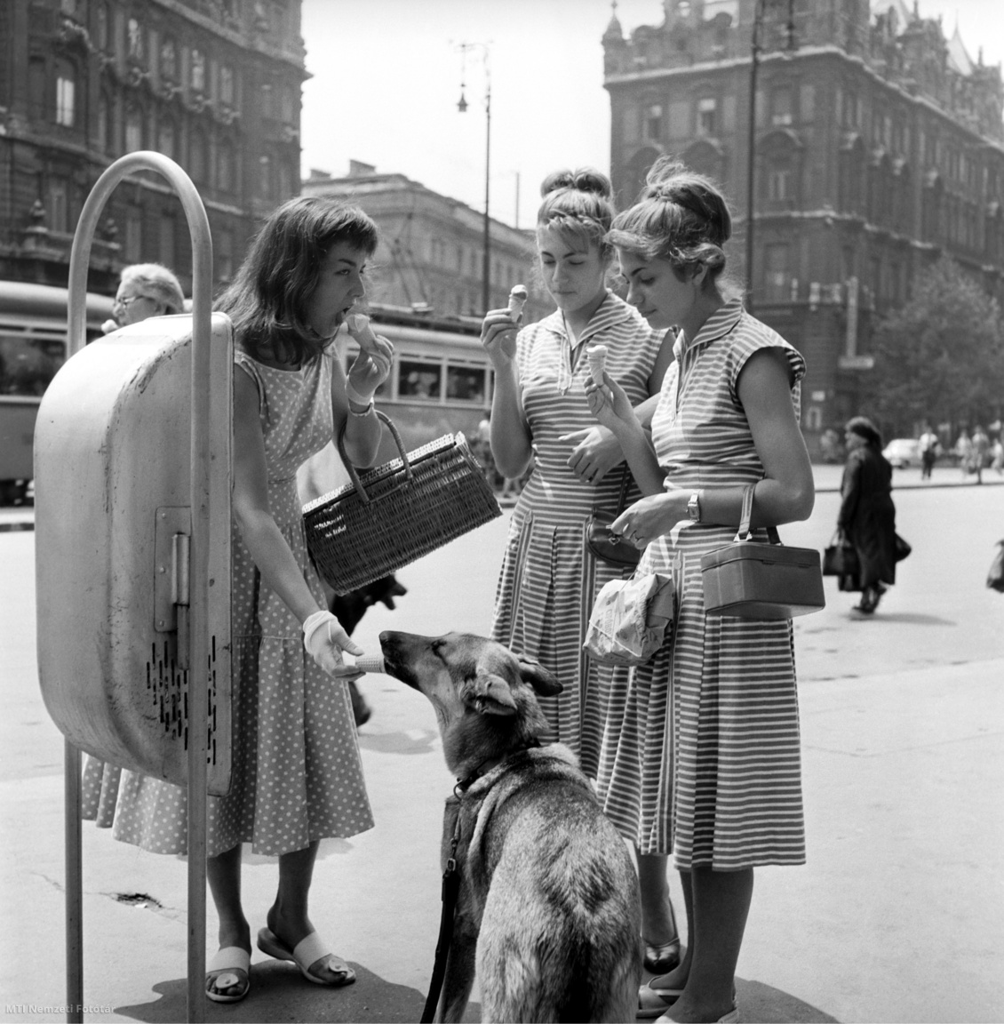 Budapest, 1959. július 28. Fiatal nő fagylalttal etet egy kutyát a kánikulai melegben a Belvárosban a Felszabadulás téren (1991-től Ferenciek tere).