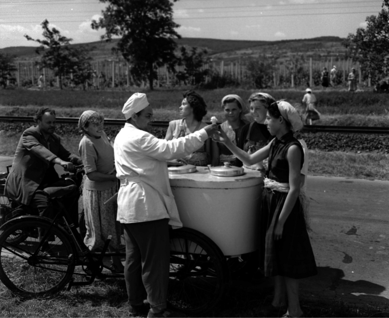 Csopak, 1960. június 7. Kertész János, a Csopaki Földművesszövetkezet cukrászati üzemének mozgóárusa fagylaltot mér ebédidőben a szőlőkötöző lányoknak.
