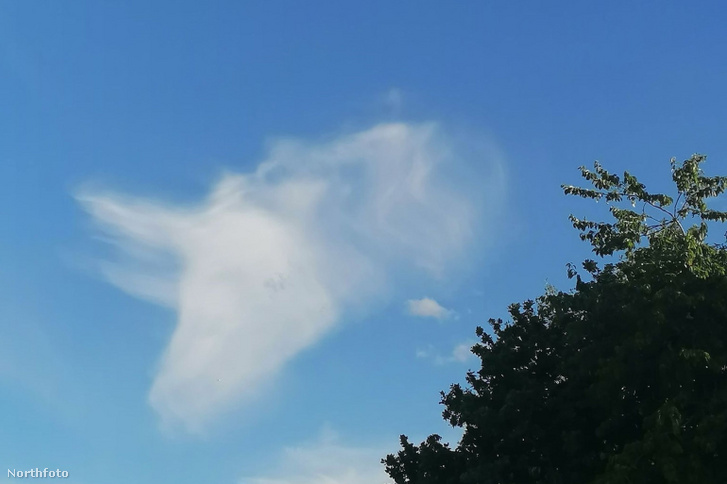 KNM UNICORN CLOUD ABOVE STABLES 4