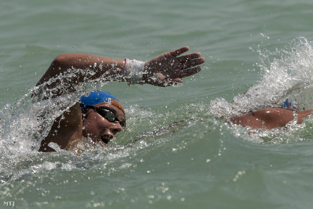 Risztov Éva versenyez a Magyar Úszás Napján