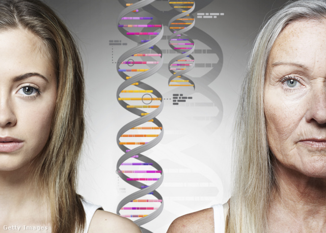 A genetikai különbségekről szóló kutatásokat jóra is lehetne használni?