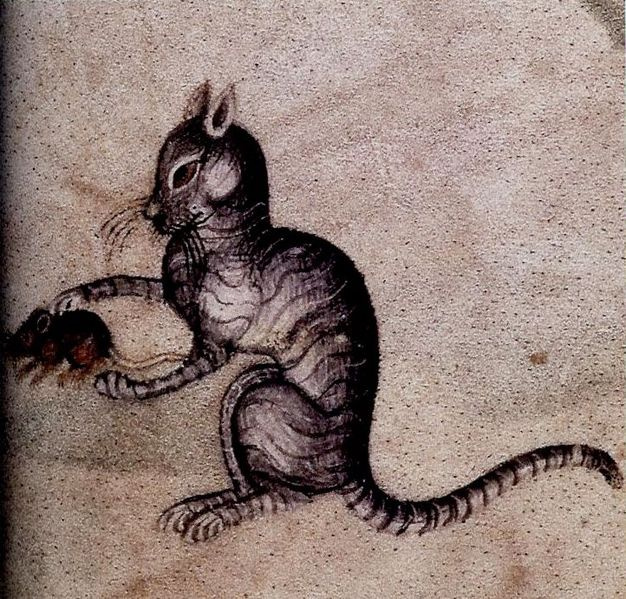 medieval-cat