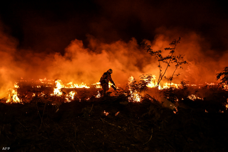 Erdőtüzet olt egy tűzoltó a franciaországi Gironde-ban 2022. július 17-én