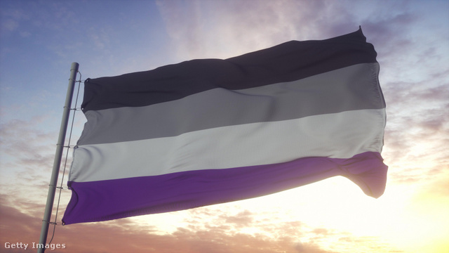 Az aszexualitás szimbolikus zászlaja