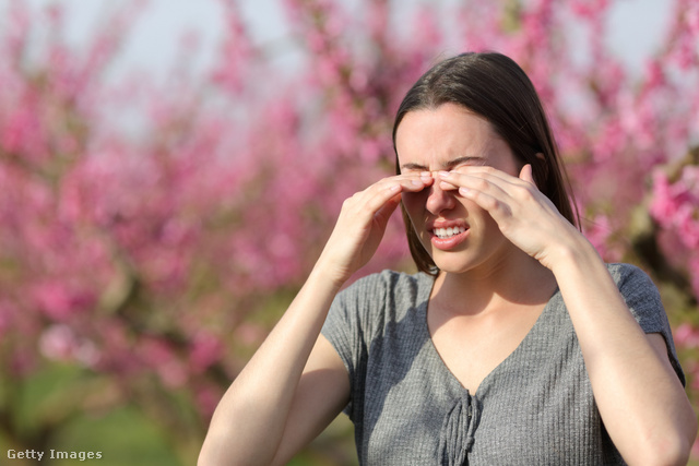 Tüsszögés, könnyezés, orrfolyás, szemviszketés, az allergia leggyakoribb tünetei