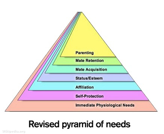maslow pyramid needs