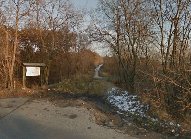 A Kamaraerdő egyik bejárata a Google utcatérképén