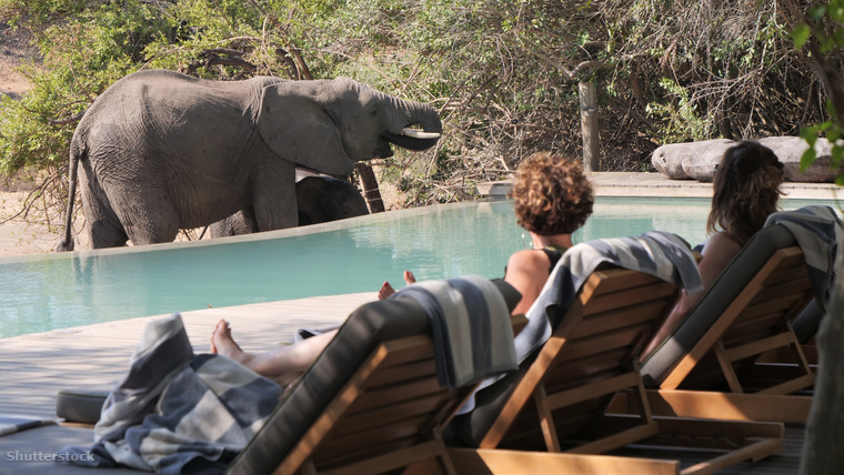 Afrika számos országában elterjedtek az úgynevezett safari lodge-ok, amelyek a legautentikusabb élményt nyújtják a turisták számára