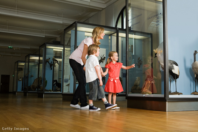 A múzeumok nagyon látványossá tehetik a történelmi, földrajzi, biológiai tanulmányokat nyáron is a gyerekek számára