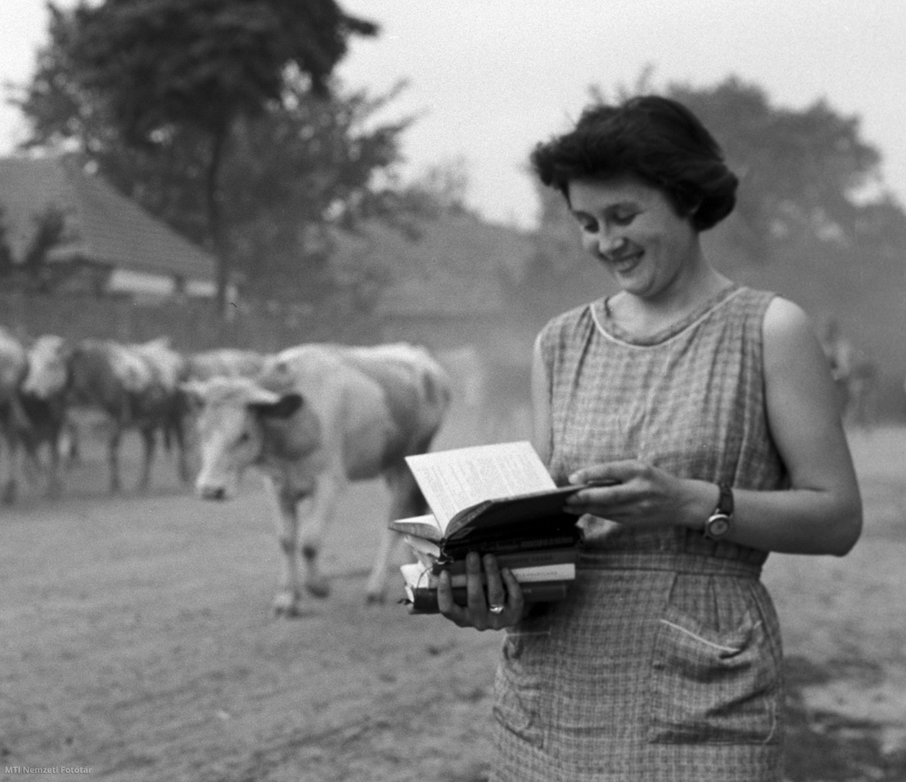 Miskolc, 1960. július 9. A Miskolci II. Rákóczi Ferenc Megyei Könyvtár művelődési autójából kölcsönzött könyvekkel tart hazafelé egy asszony Apróhomok tanyaközpontban, mellette az úton a csorda tehenei ballagnak. A művelődési autó 16 községet látogat rendszeresen a megyében