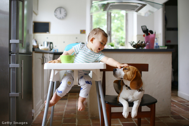A kisbaba számára sokszor a legolcsóbb megoldás is megfelelő: otthonodban ne az etetőszék legyen a legdrágább bútor!