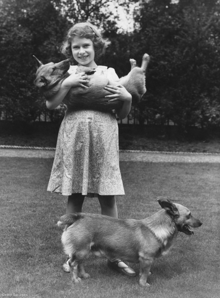 Kislányként is imádta a corgikat, ez a felvétel 1936-os.
                        