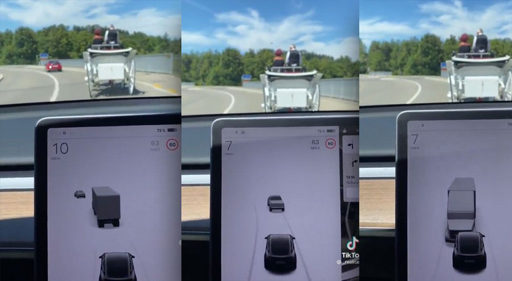 tesla-mistakes-horse-and-buggy-for-murderous-semi-truck