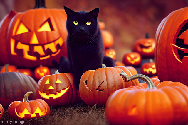A halloween állandó „kelléke” a fekete macska