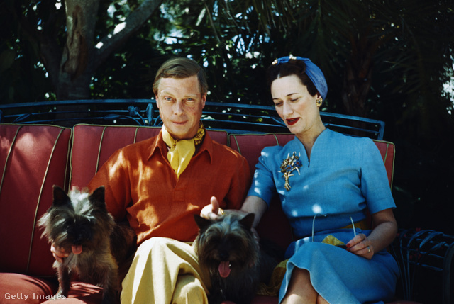 Windsor hercege és hercegnéje kutyáikkal